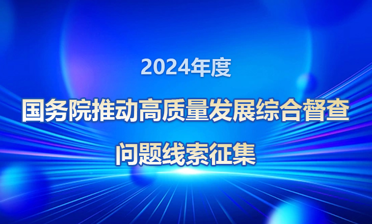 国务院互联网+督查